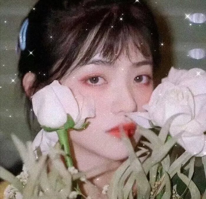 安娜和狼